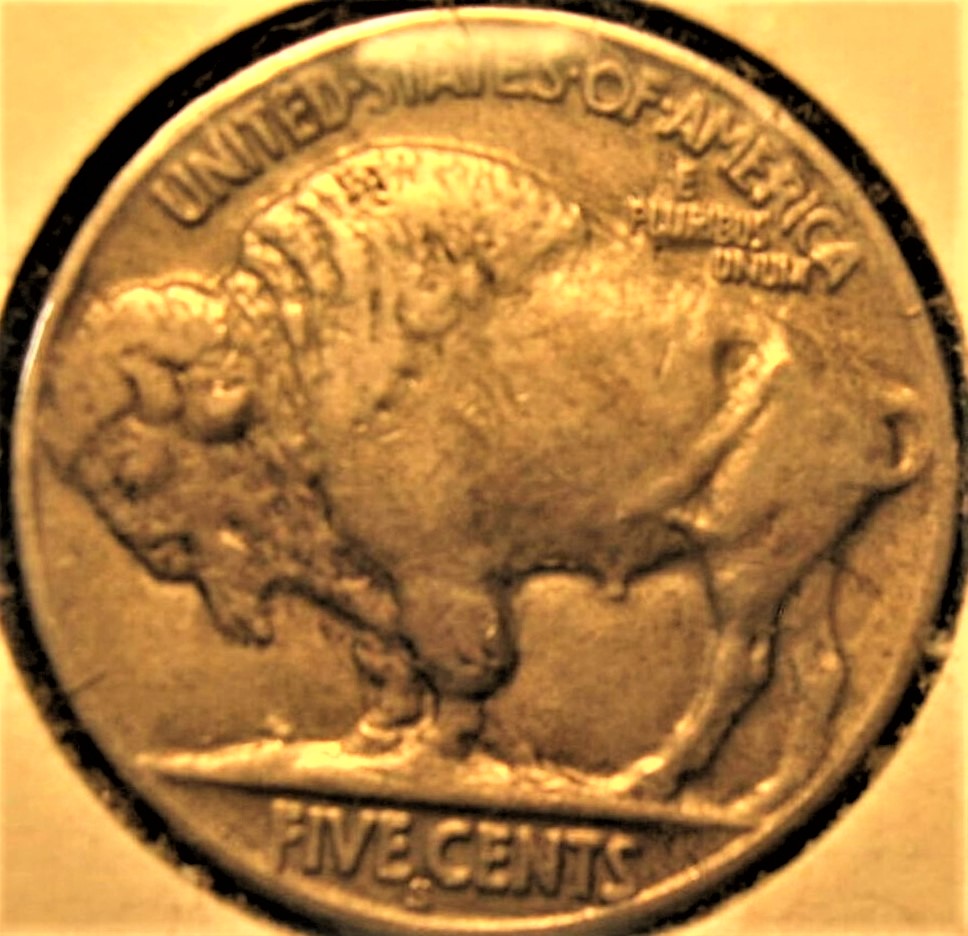 1926-S-Buffalo-Nickel-Won-In-Auction-Minutes-Ago